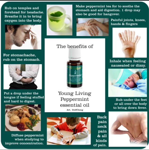 47 best Young living images on Pinterest