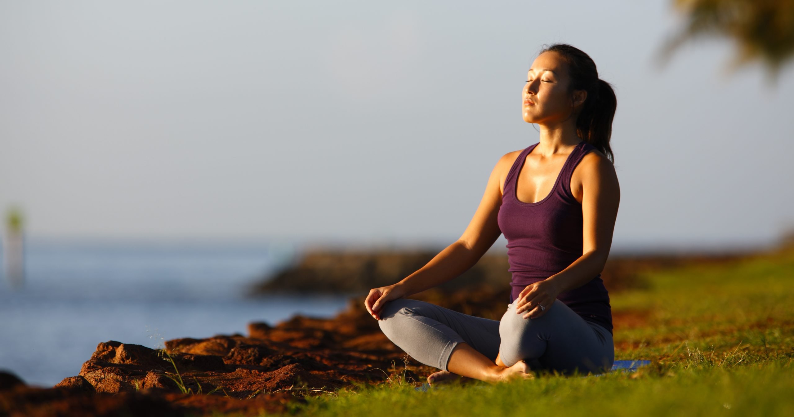 A Beginners Guide to Meditation: How to Do It and Why You ...