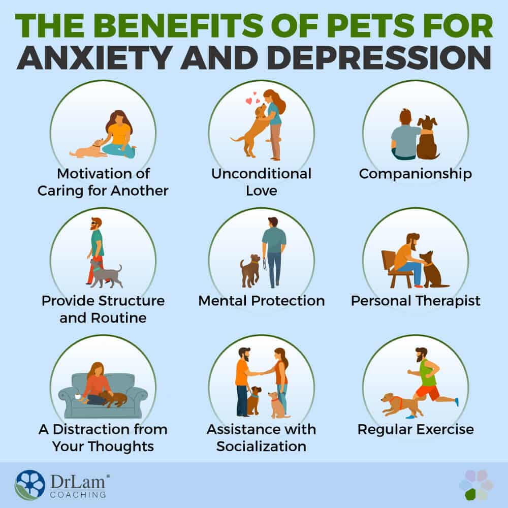Amazing Reasons Why So Many People Are Relying on Pets for Anxiety