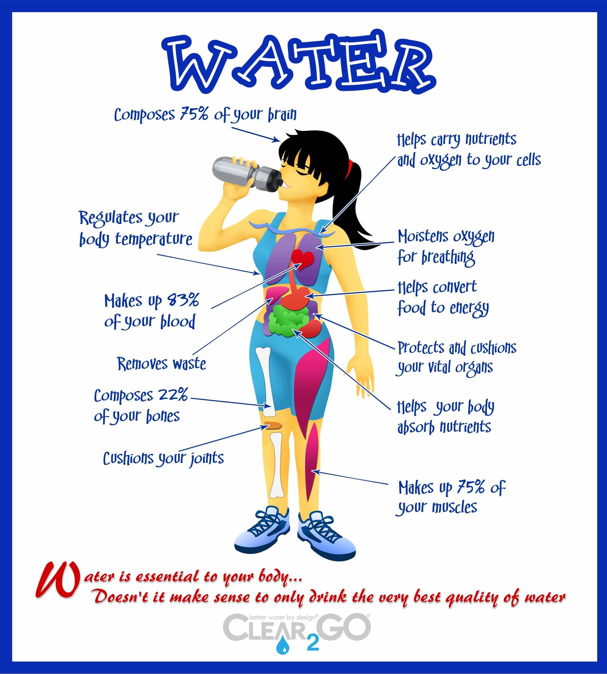 Benefits of Drinking Water.