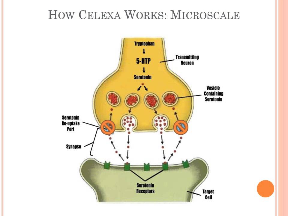 Can Celexa Help With Anxiety