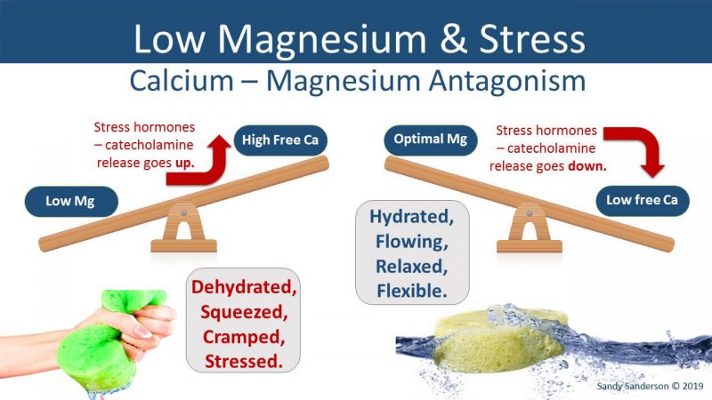 Can Magnesium Relieve Anxiety And Depression Elektra