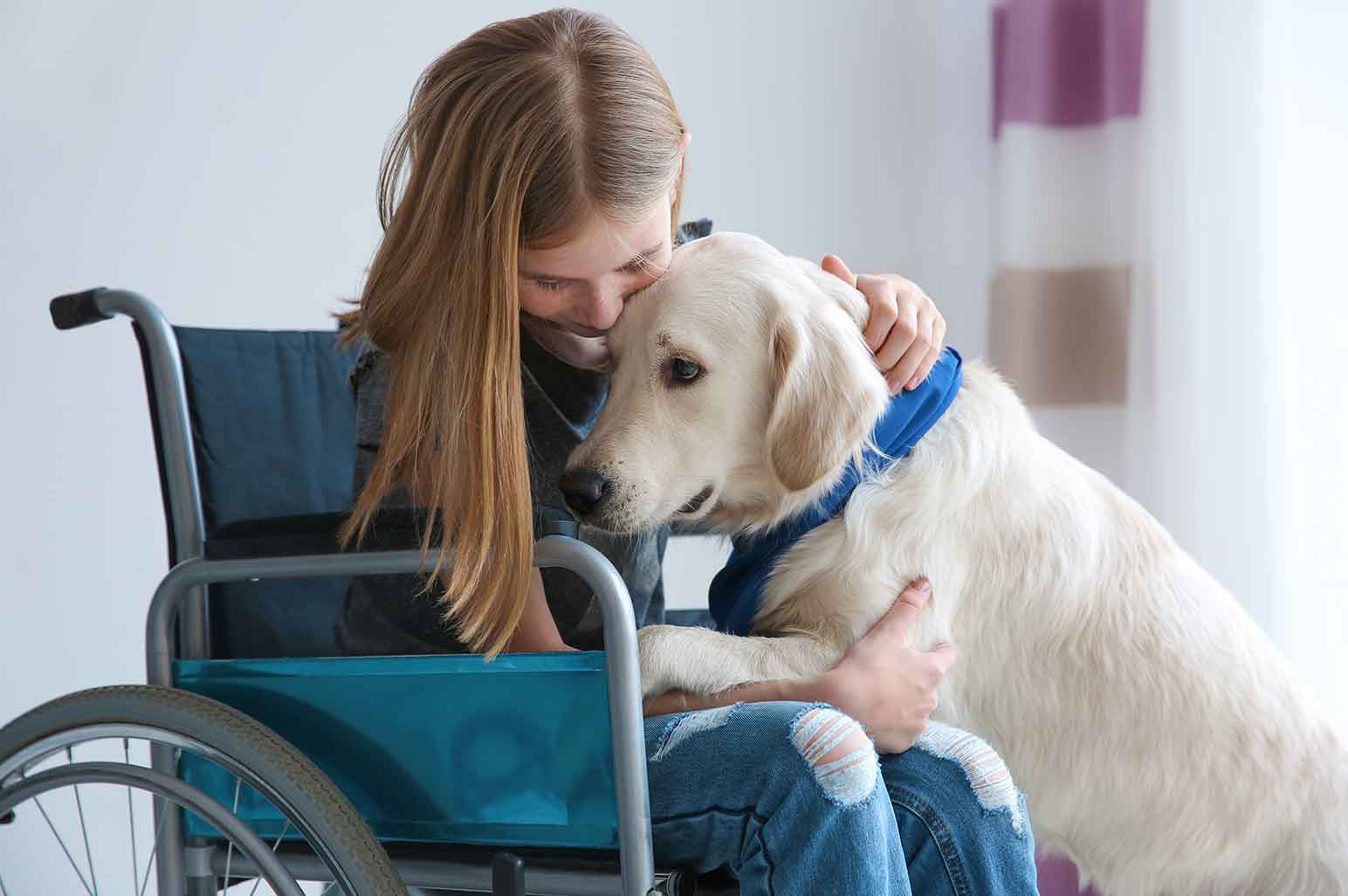 Can Service Dogs Help Children Cope with Anxiety?
