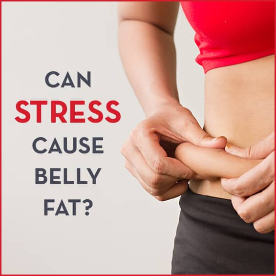 Can Stress Cause Belly Fat?
