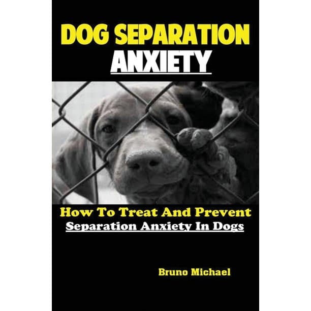 Dog Separation Anxiety : How To Treat And Prevent Separation Anxiety In ...