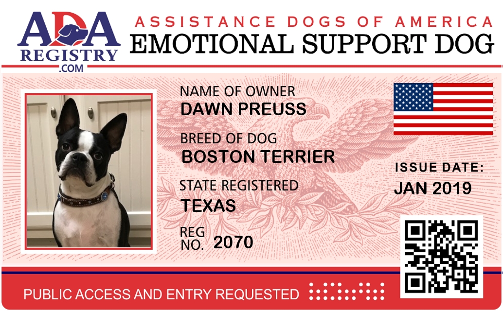 Emotional Support Dog Registration for Stetson