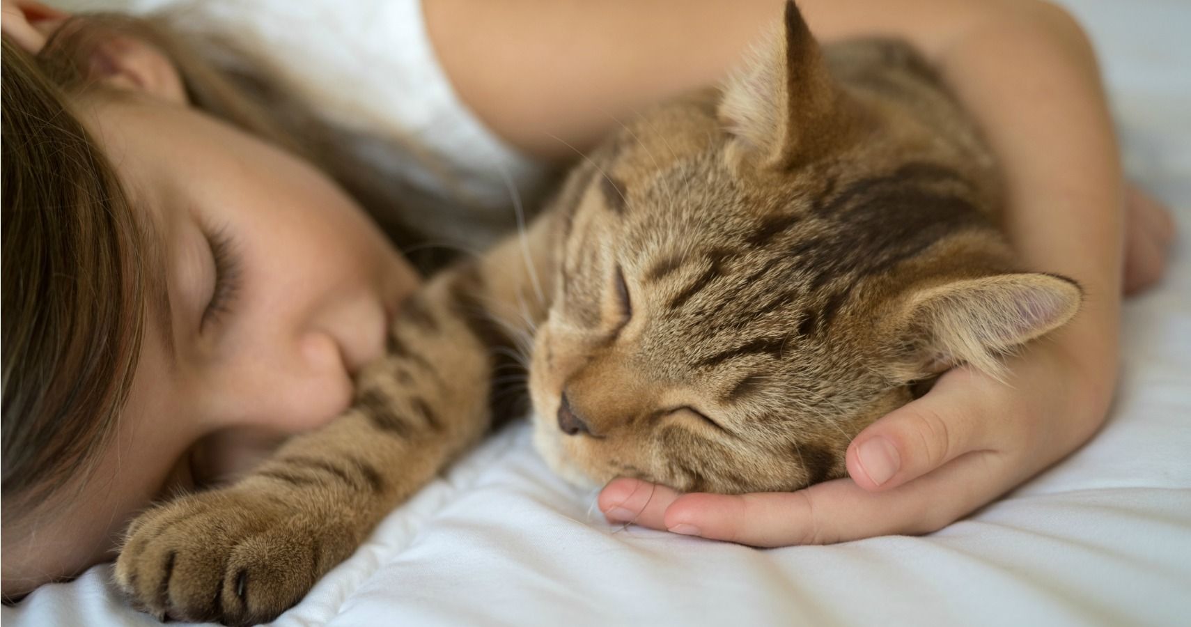 Getting A Cat Can Seriously Reduce Your Child