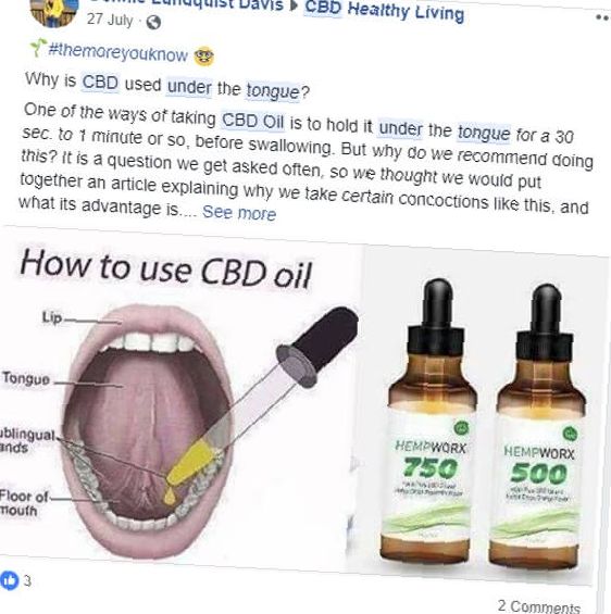 How Can You Use CBD Oil for Anxiety?