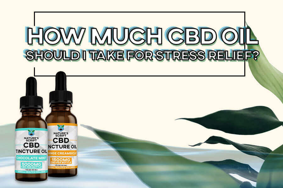 How Much CBD Oil Should I Take for Stress Relief