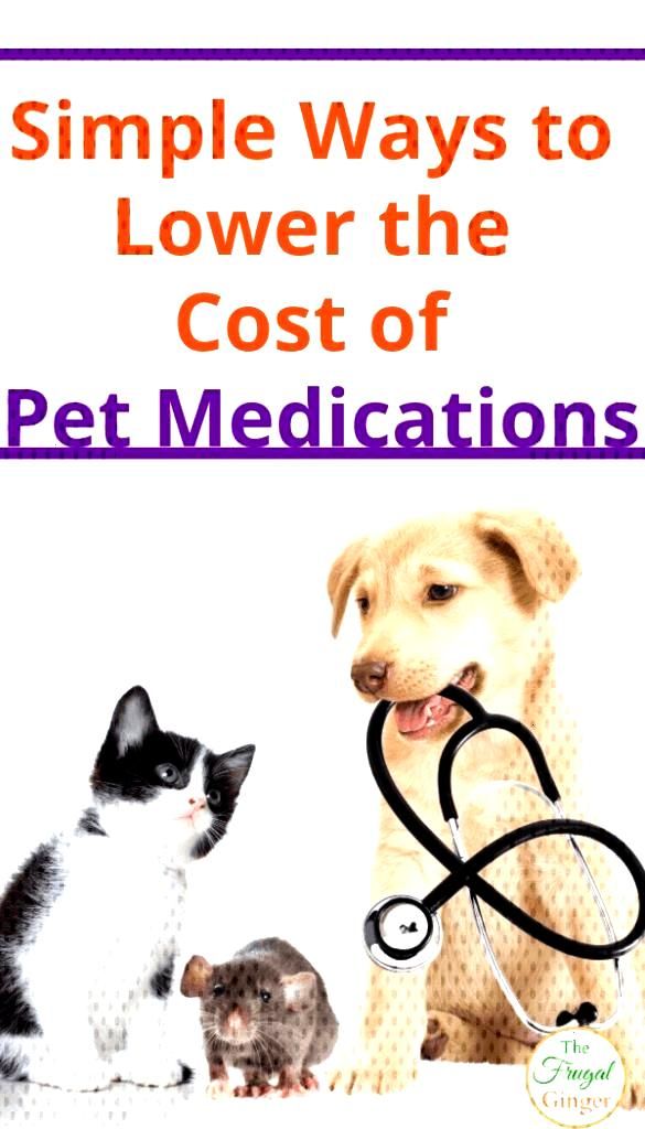 How Much Does Cat Anxiety Medication Cost