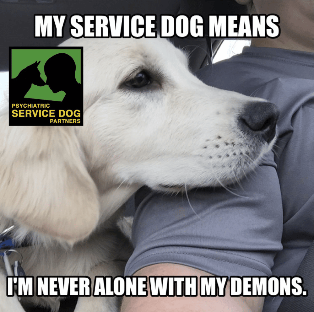 How Much Is It To Train A Service Dog For Anxiety