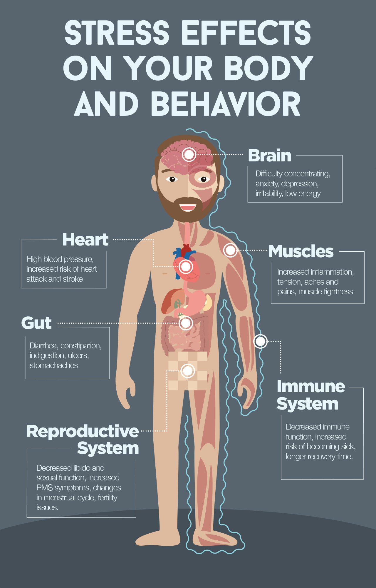 How Stress Harm Your Health: Effects on Body and Behavior