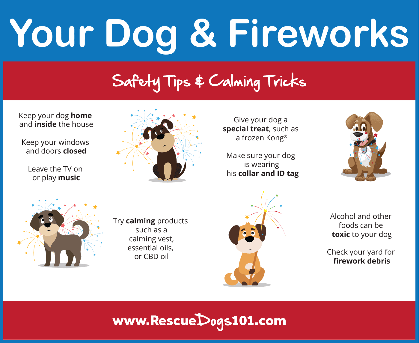 How to help dog fireworks anxiety [+10 Tips]