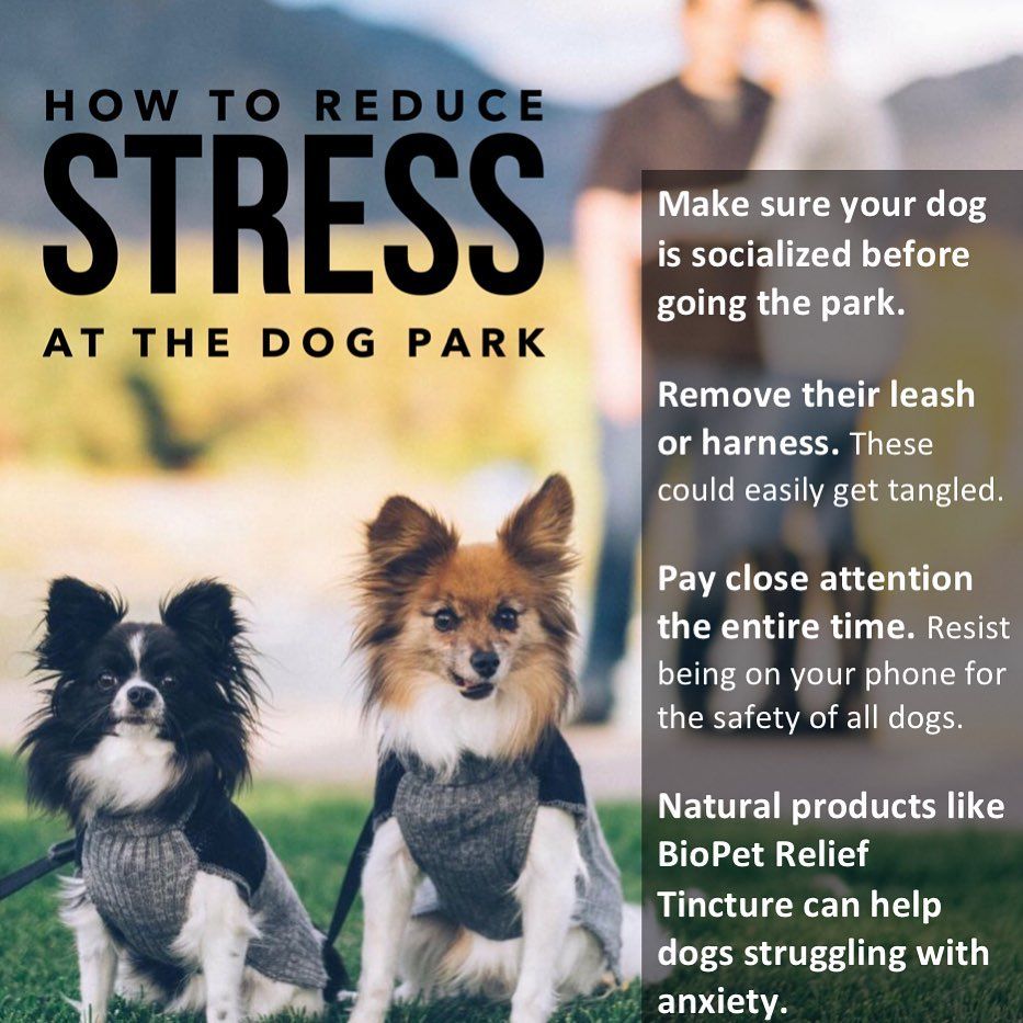 HOW TO REDUCE STRESS!!