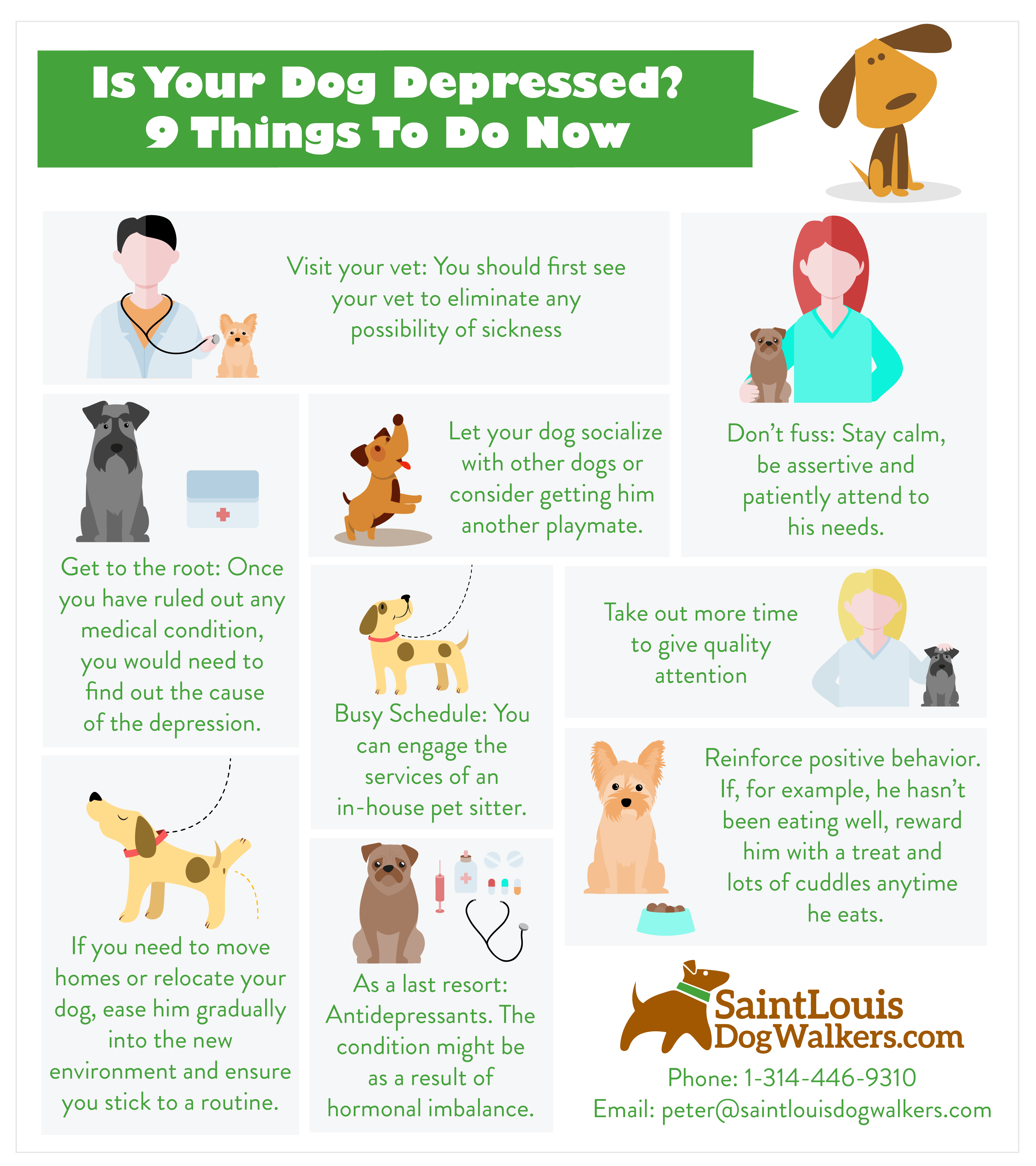 Is Your Dog Depressed? 8 Things to Do Now