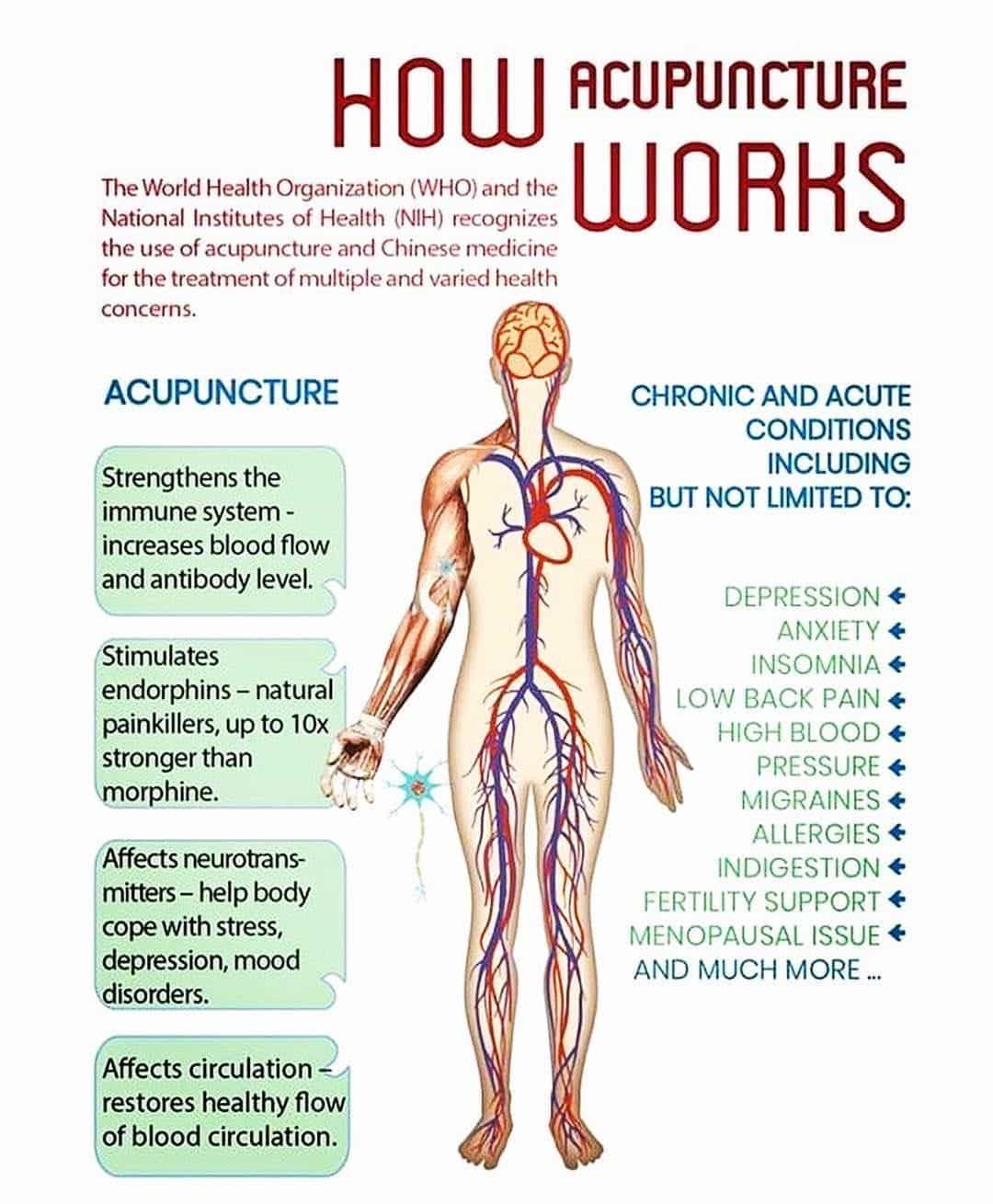 Learn More about Acupuncture
