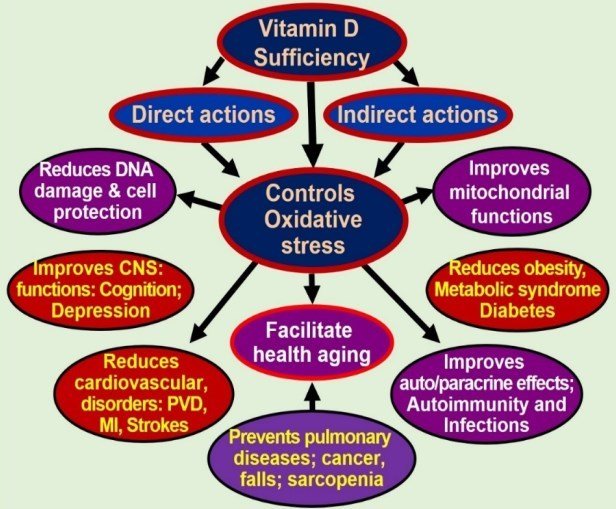 Low Vitamin D is one of the causes of oxidative stress and aging ...