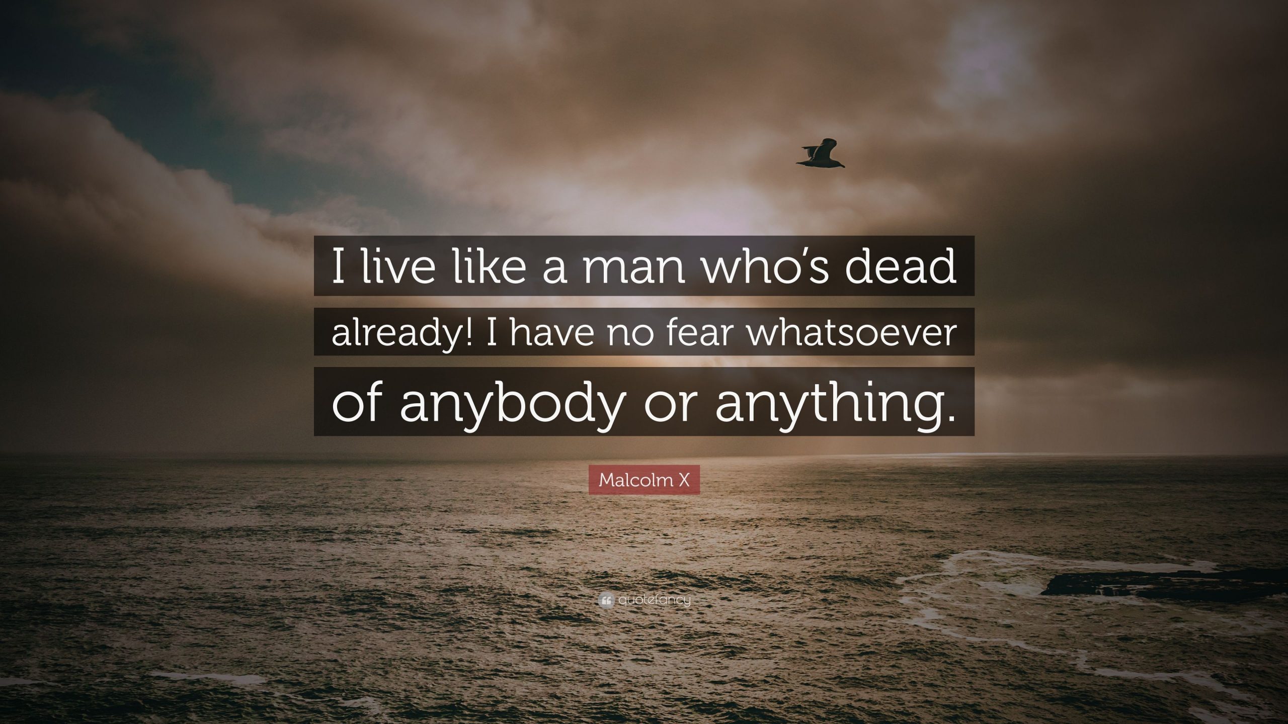 Malcolm X Quote: I live like a man whos dead already! I ...