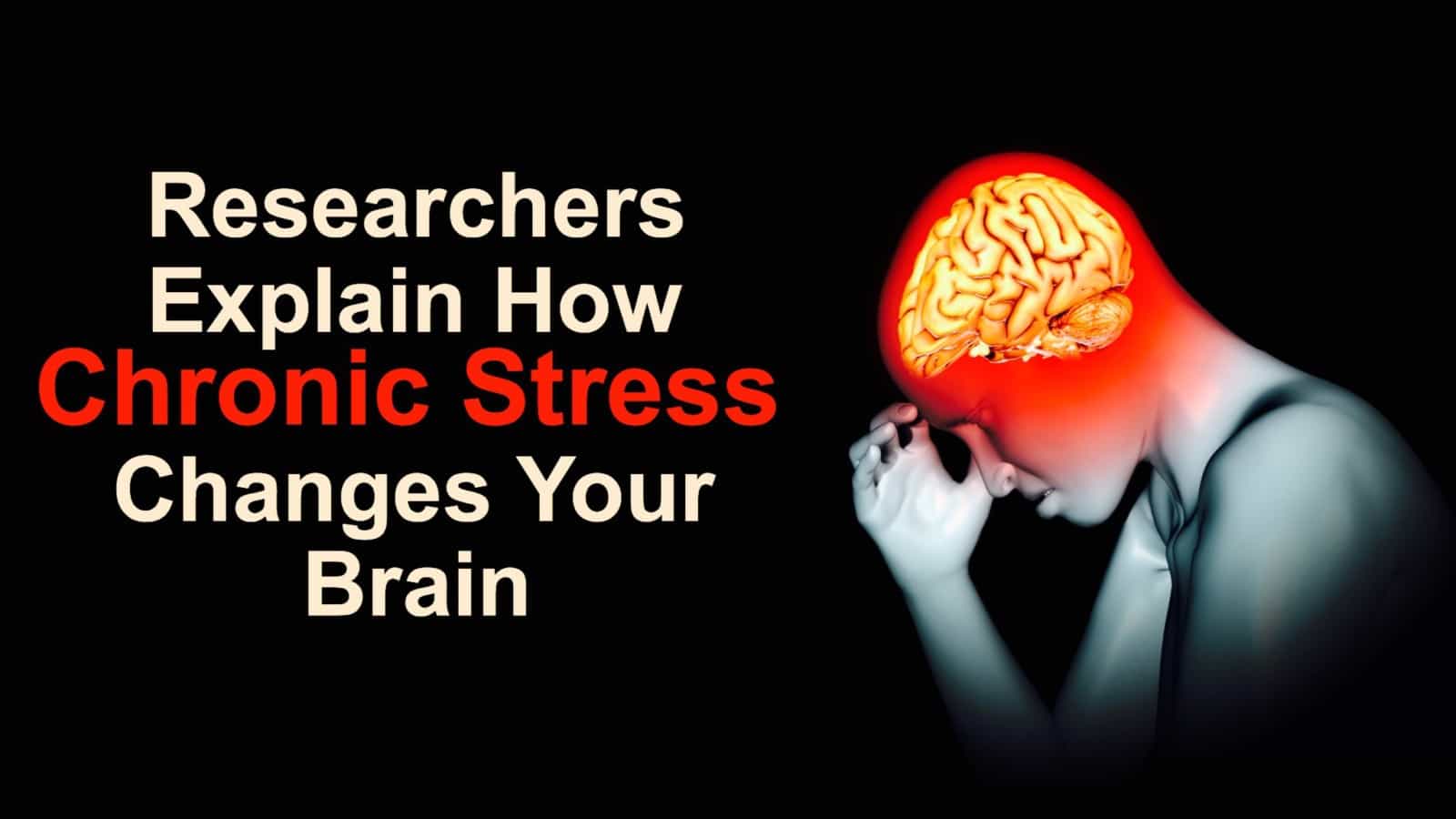 Researchers Explain How Chronic Stress Changes Your Brain