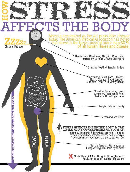 Stress Does Affect Your Body