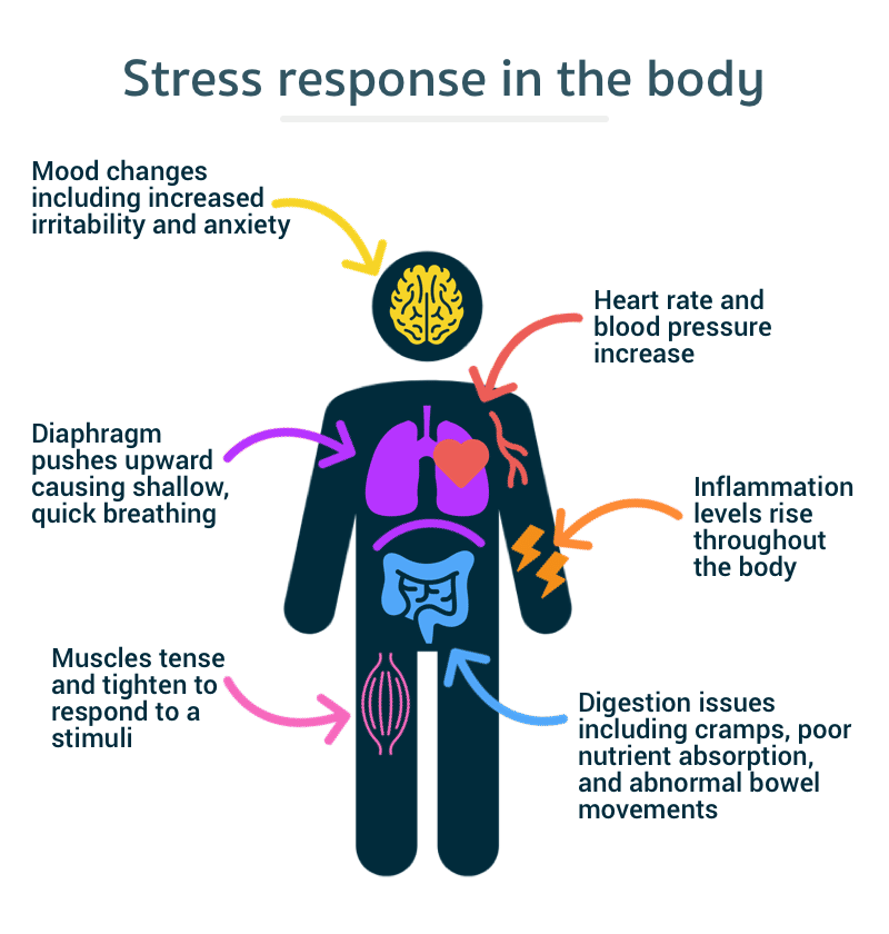 The best breathing techniques to help you get out of stress
