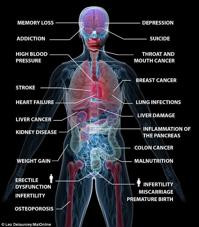What alcohol does to the body