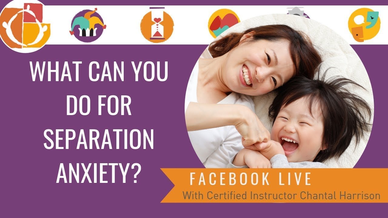 What Can You Do for Separation Anxiety?