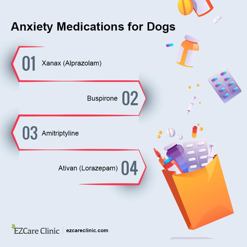 What Should You Know About Anxiety Medications for Dogs?