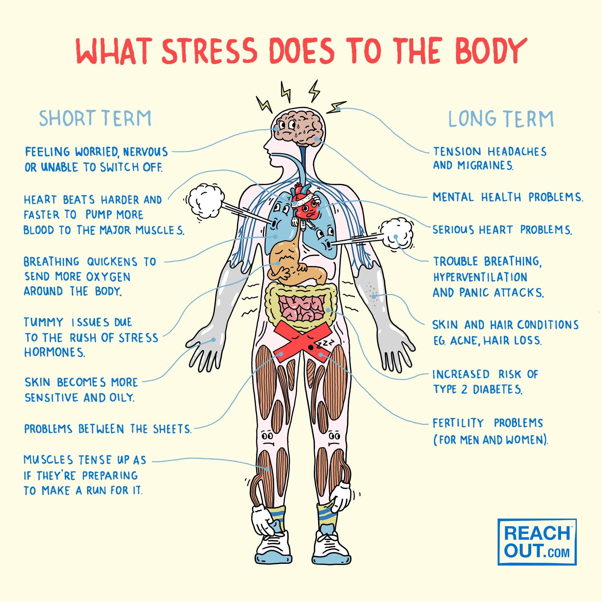 What stress does to the body