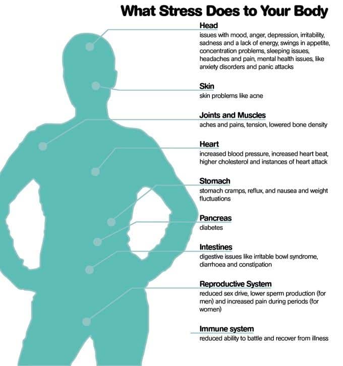 What Stress Does To Your Body